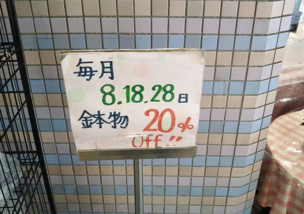 花洋