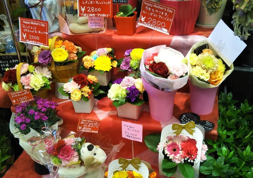 ココハナ