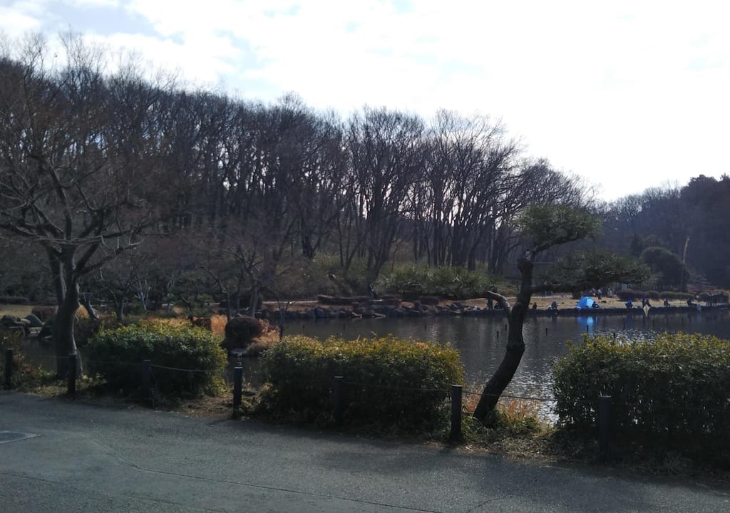 こども自然公園